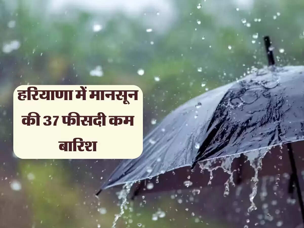 हरियाणा में मानसून की 37 फीसदी कम बारिश, कई हिस्सों का बारिश का इंतजार
