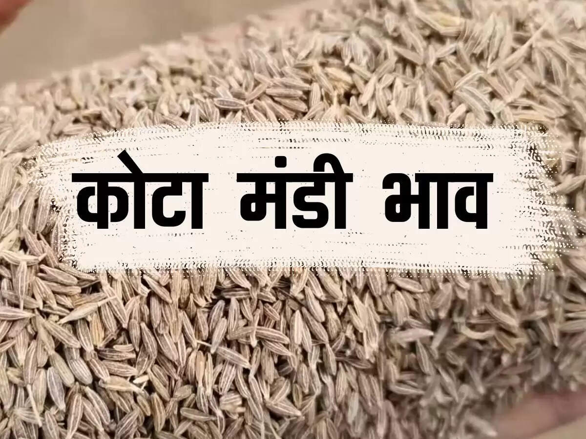 Kota Mandi Bhav : कोटा भामाशाह मंडी में आवक का दौर जारी, चना और गेहूं रेट उछले