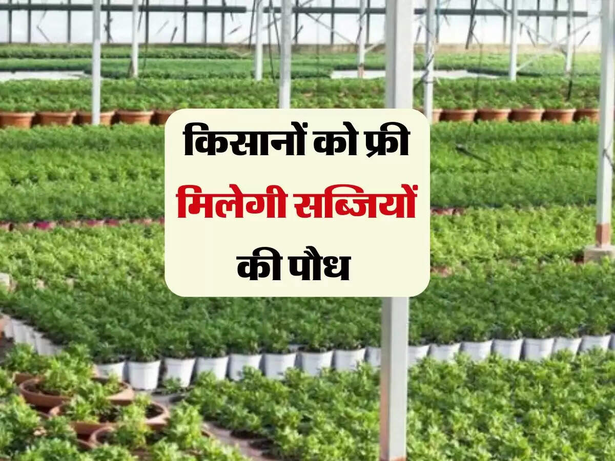 कन्नौज जिले के उद्यान अधिकारी सीपी अवस्थी ने जानकारी देते हुए