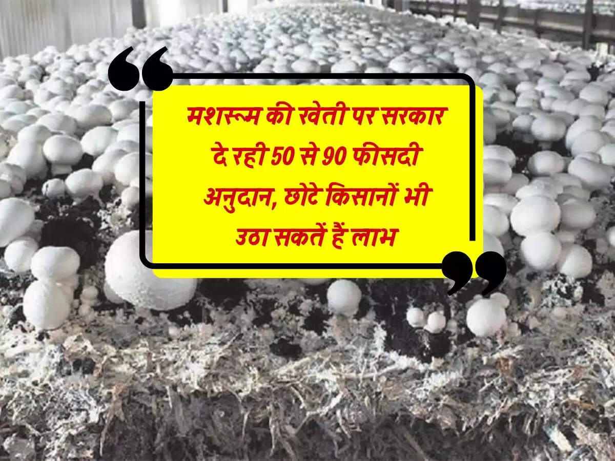 मशरूम की खेती पर सरकार दे रही 50 से 90 फीसदी अनुदान, छोटे किसानों भी उठा सकतें हैं लाभ