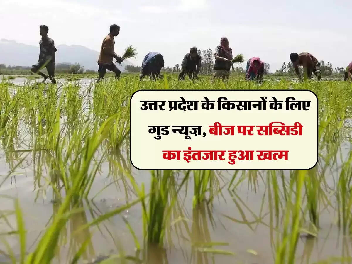 उत्तर प्रदेश के किसानों के लिए गुड न्यूज़, बीज पर सब्सिडी का इंतजार हुआ खत्म