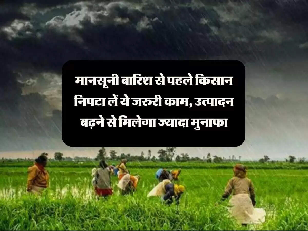 मानसूनी बारिश से पहले किसान निपटा लें ये जरुरी काम, उत्पादन बढ़ने से मिलेगा ज्यादा मुनाफा
