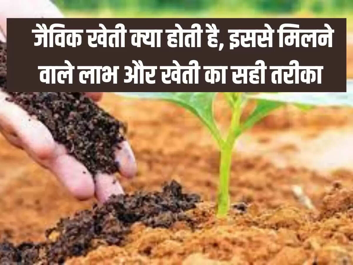 जैविक खेती