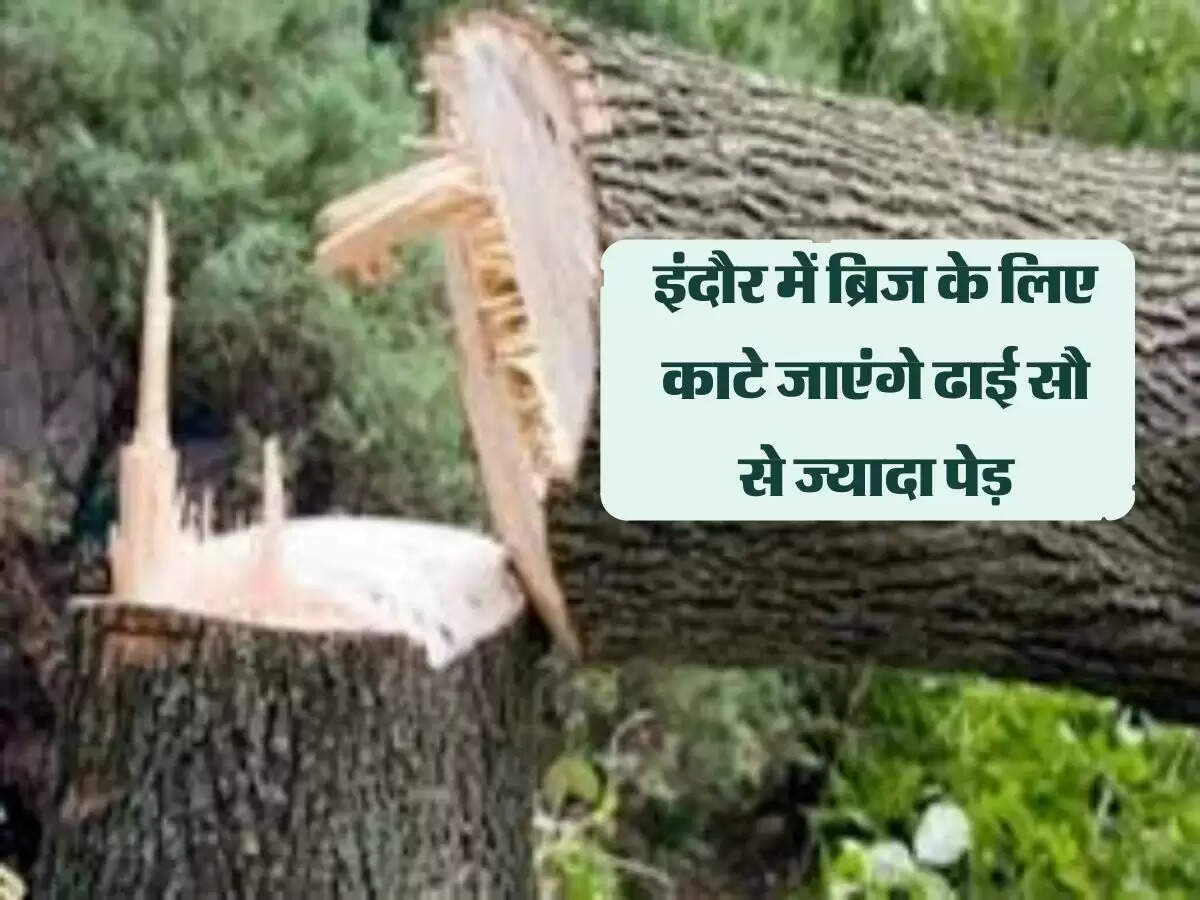 MP Indore News :इंदौर में ब्रिज के लिए काटे जाएंगे ढाई सौ से ज्यादा पेड़