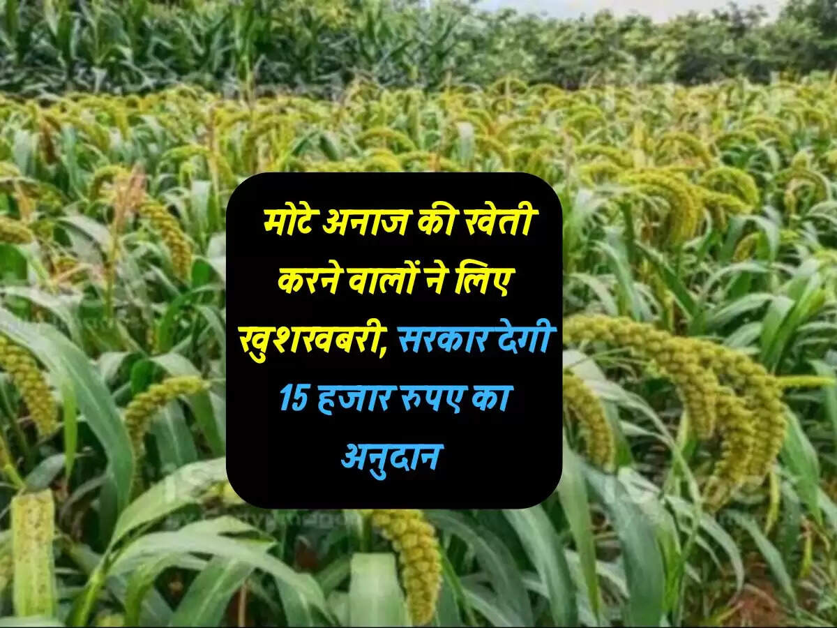 Millet Mission Scheme : मोटे अनाज की खेती करने वालों ने लिए खुशखबरी, सरकार देगी 15 हजार रुपए का अनुदान