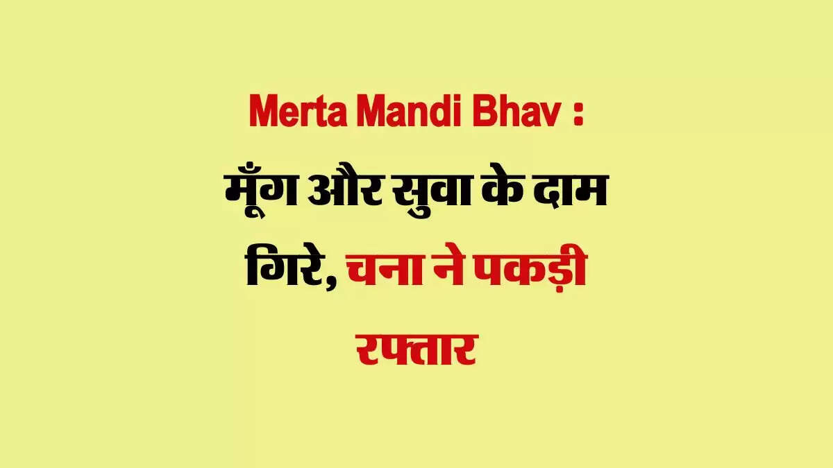 Merta Mandi Bhav 28 August 2024 : मूँग और सुवा के दाम गिरे, चना ने पकड़ी रफ्तार