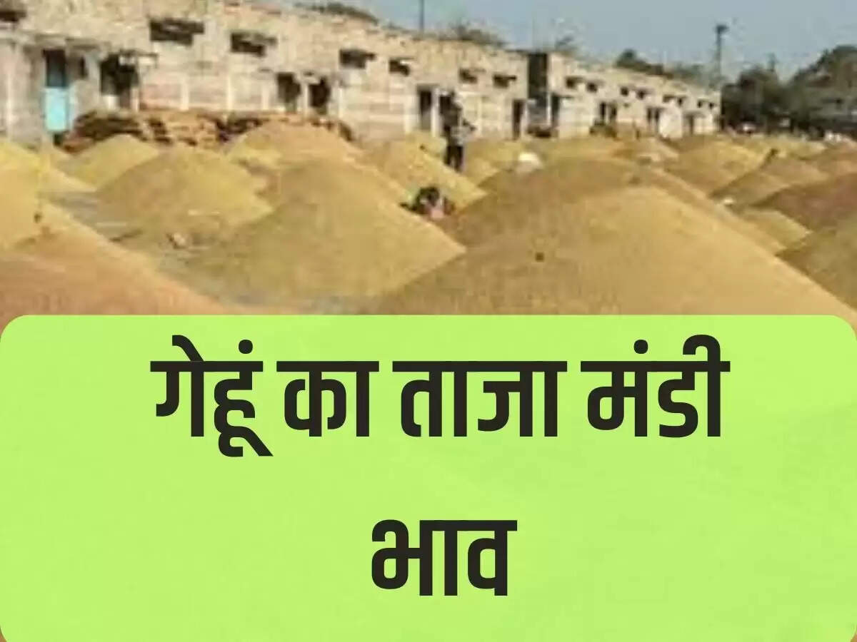 गेहूं