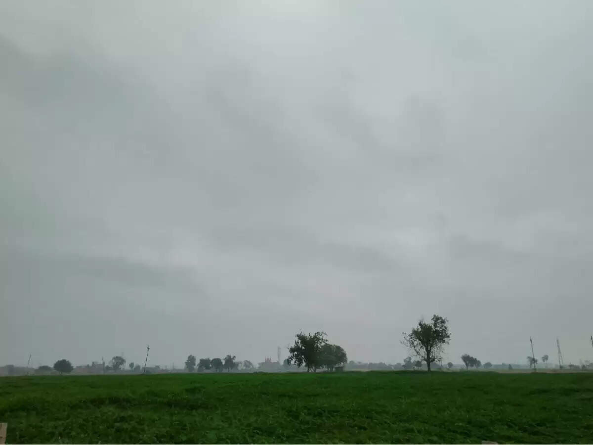 उत्तर प्रदेश के बरेली समेत इन जिलों में होगी भारी बारिश, 11 जुलाई तक चलेगा वर्षा का सिलसिला