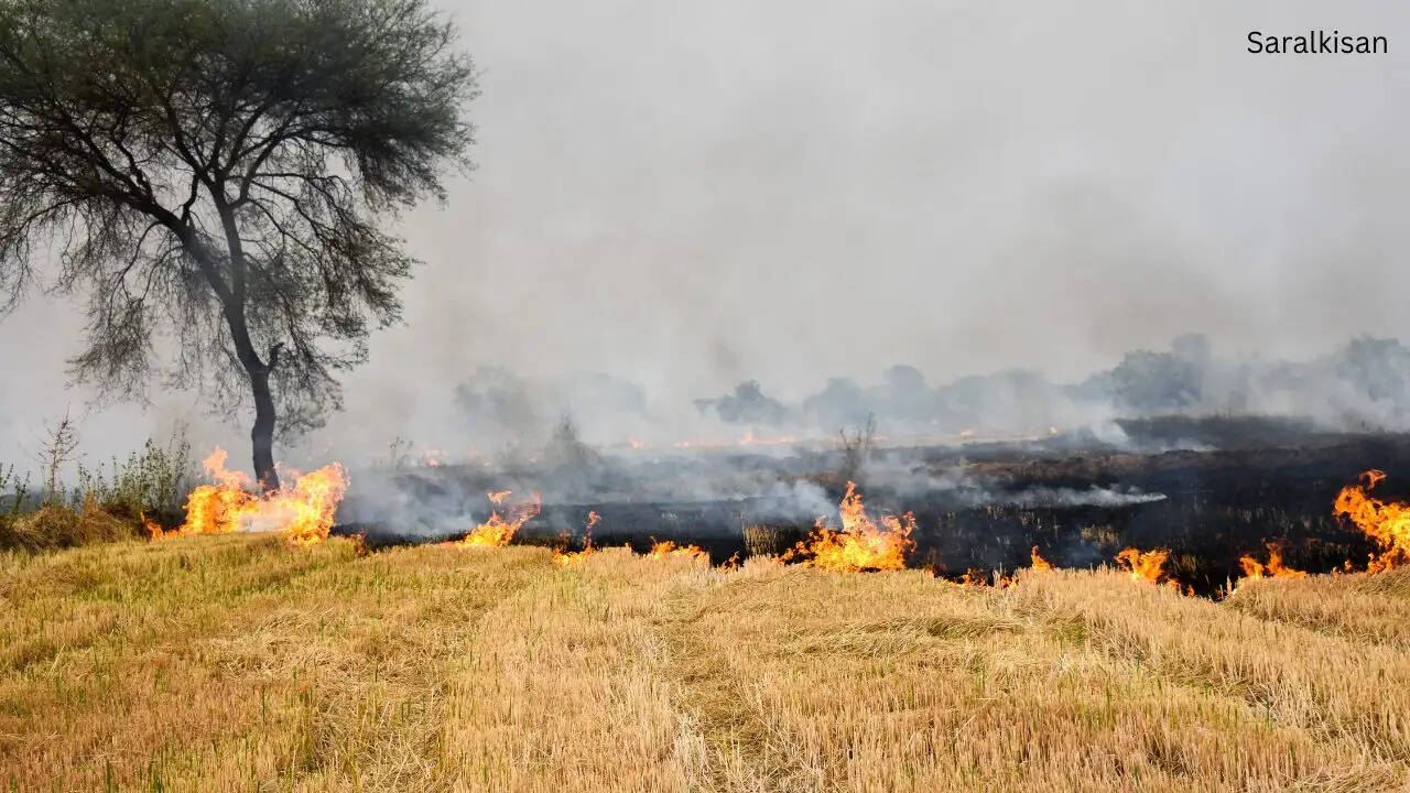 गेहूं की पराली जलाने की घटनाएं बढ़ी, UP और मध्य प्रदेश में दर्ज हुए ये आंकड़े