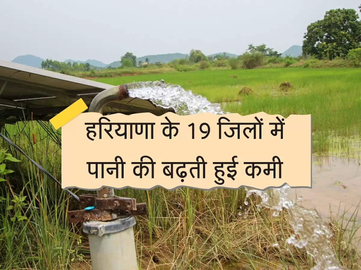 हरियाणा के 19 जिलों में पानी की बढ़ती हुई कमी, आने वाले समय में आ सकती है बड़ी परेशानी