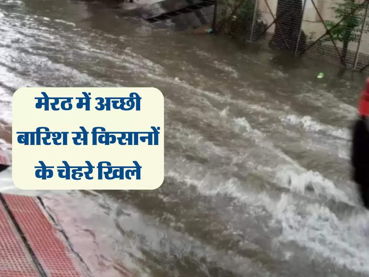 मेरठ में अच्छी बारिश से किसानों के चेहरे खिले, किसानों ने की बुआई शुरू