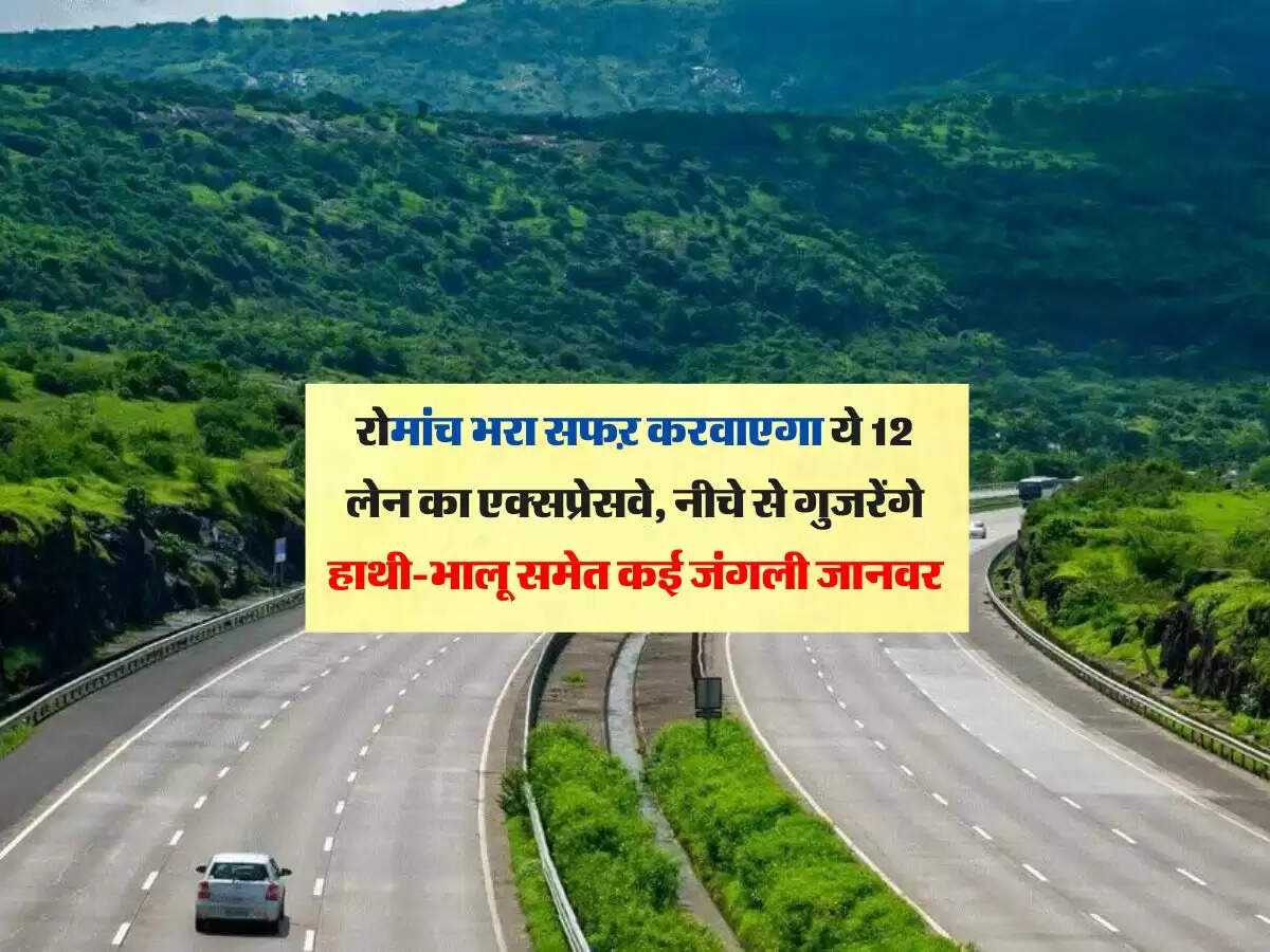 रोमांच भरा सफऱ करवाएगा ये 12 लेन का एक्सप्रेसवे, नीचे से गुजरेंगे हाथी-भालू समेत कई जंगली जानवर, होने वाला है तैयार