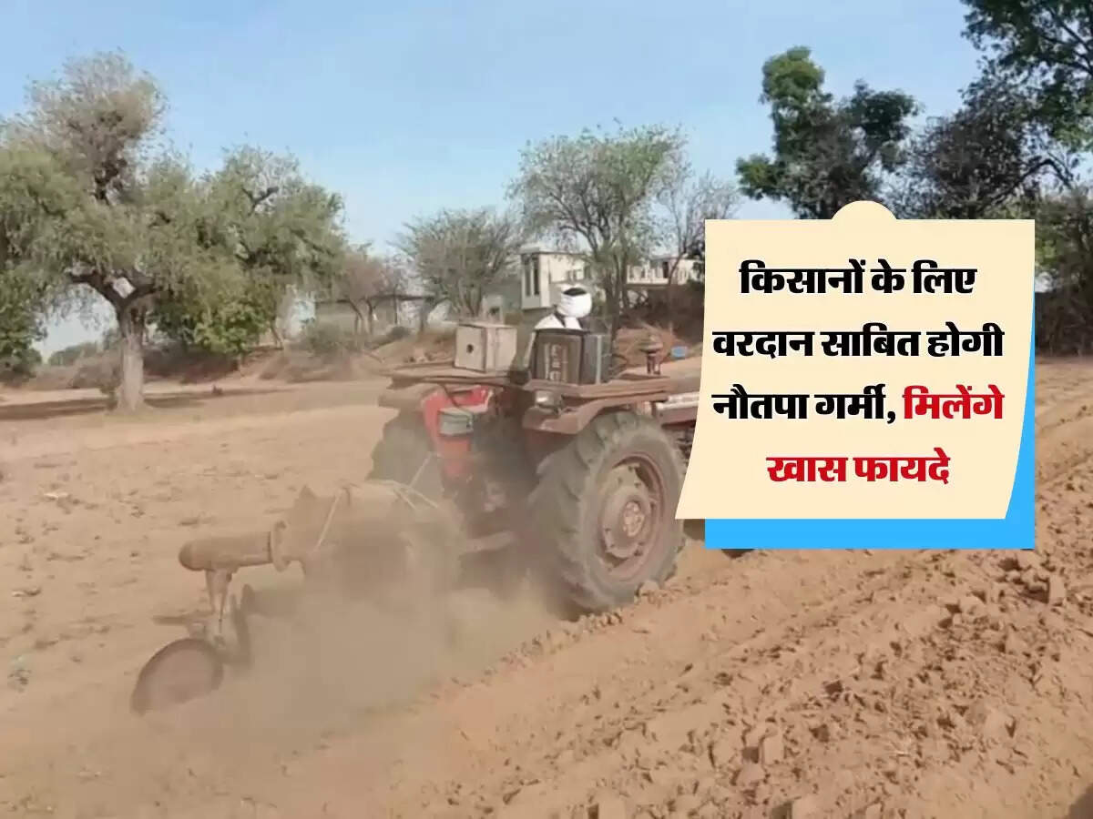 किसानों के लिए वरदान साबित होगी नौतपा गर्मी, मिलेंगे खास फायदे