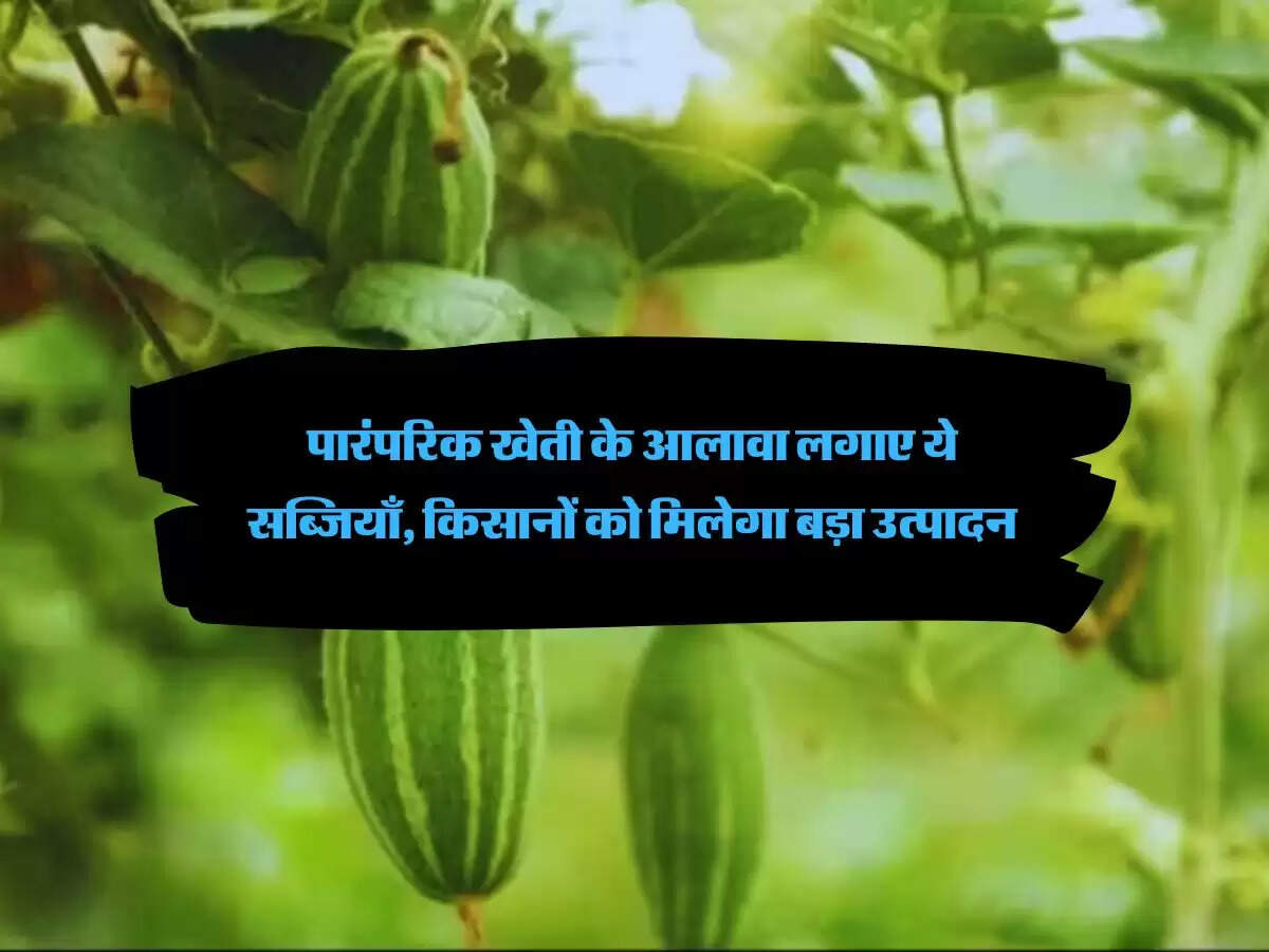 पारंपरिक खेती के आलावा लगाए ये सब्जियाँ, किसानों को मिलेगा बड़ा उत्पादन