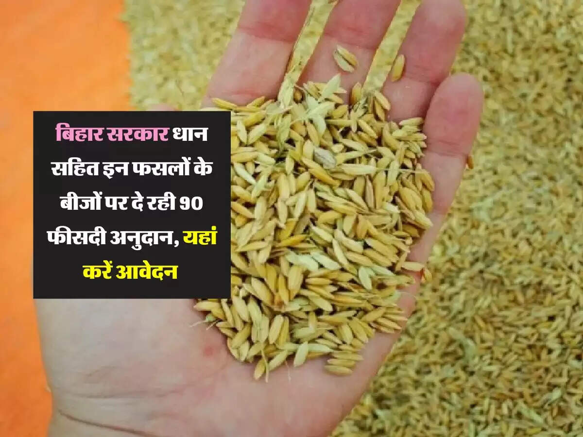 बिहार सरकार धान सहित इन फसलों के बीजों पर दे रही 90 फीसदी अनुदान, यहां करें आवेदन