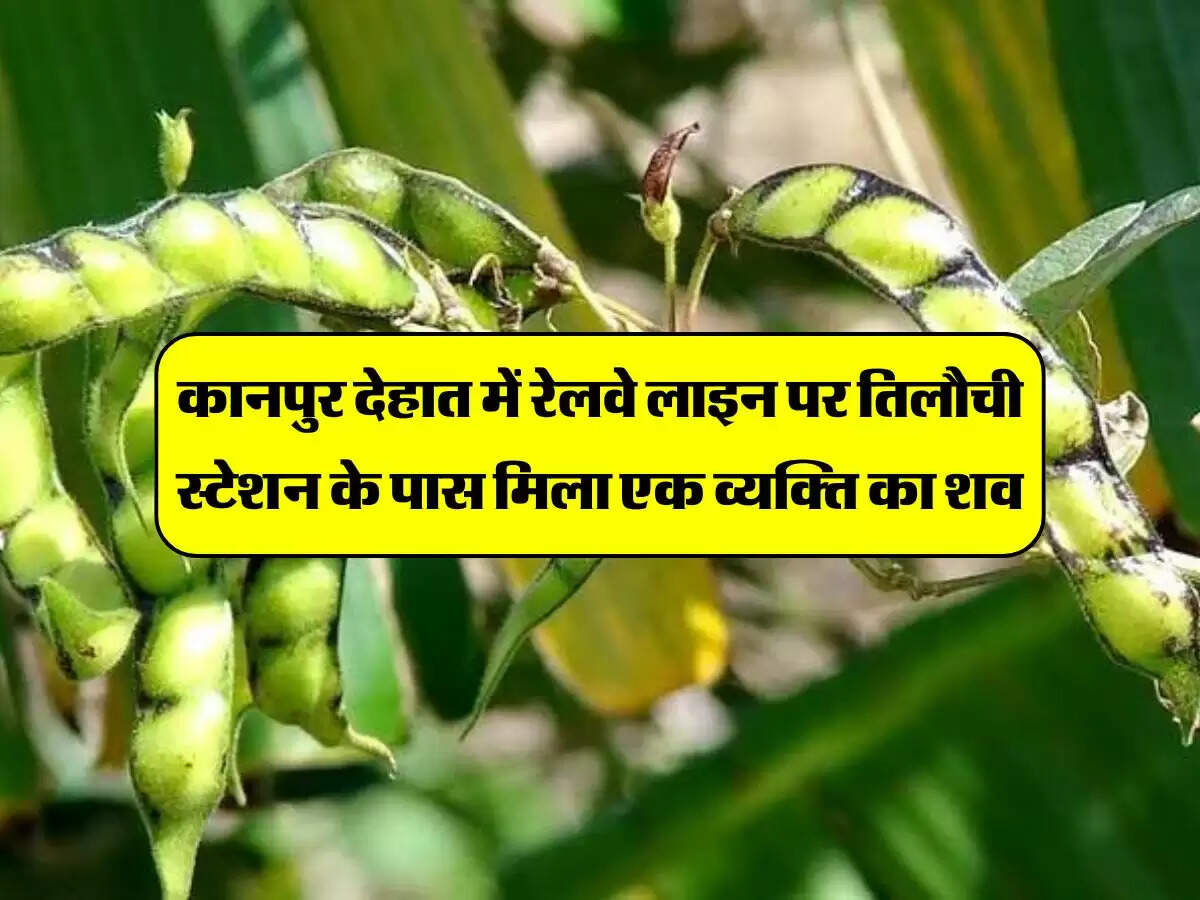 अरहर की खेती में उर्वरक और कीटनाशक का सही तरीके से करें इस्तेमाल, मिलेगा ज्यादा उत्पादन
