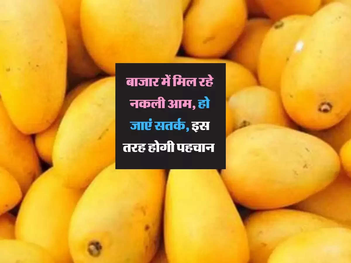 बाजार में मिल रहे नकली आम, हो जाएं सतर्क, इस तरह होगी पहचान