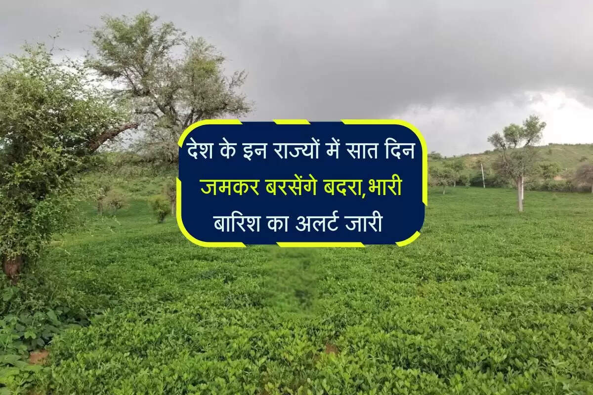 Monsoon 2025: देश के इन राज्यों में सात दिन जमकर बरसेंगे बदरा,भारी बारिश का अलर्ट जारी 
