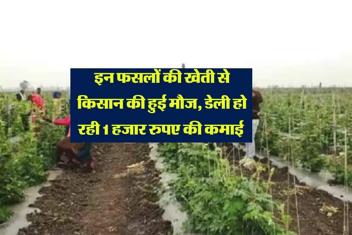 Success Story: इन फसलों की खेती से किसान की हुई मौज, डेली हो रही 1 हजार रुपए की कमाई