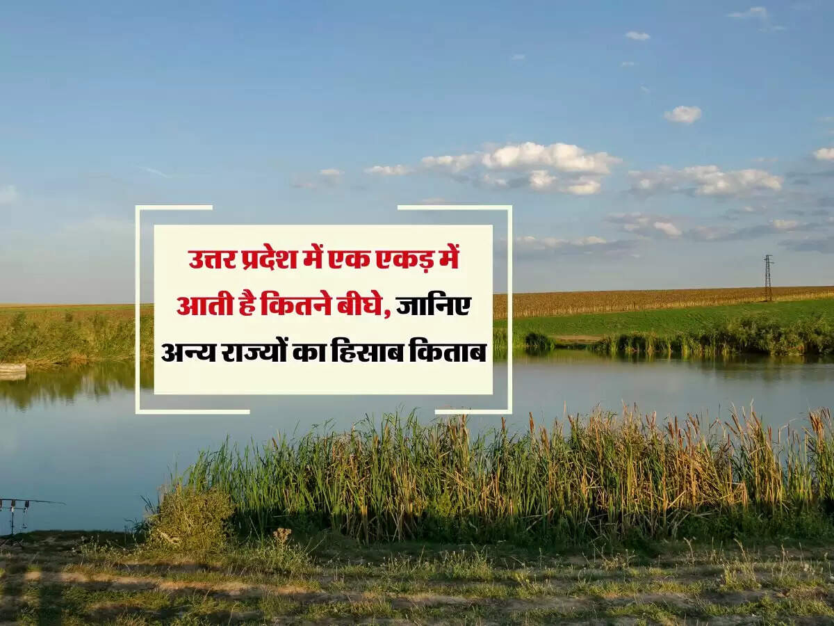 उत्तर प्रदेश में एक एकड़ में आती है कितने बीघे, जानिए अन्य राज्यों का हिसाब किताब