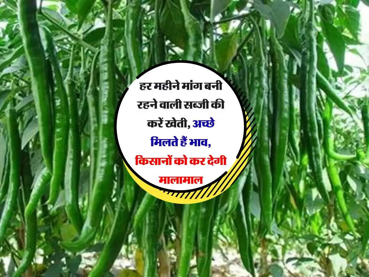 हर महीने मांग बनी रहने वाली सब्जी की करें खेती, अच्छे मिलते हैं भाव, किसानों को कर देगी मालामाल
