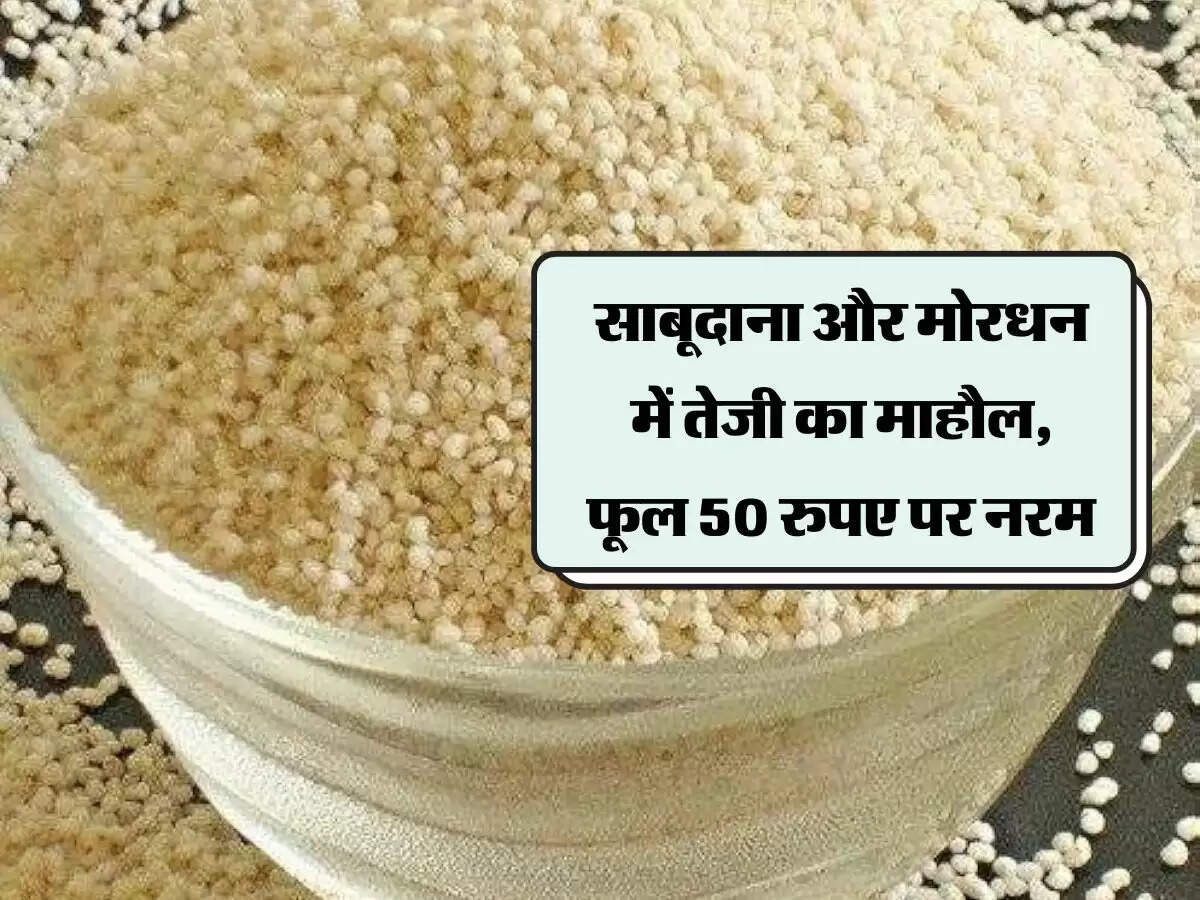 साबूदाना और मोरधन में तेजी का माहौल, फूल 50 रुपए पर नरम
