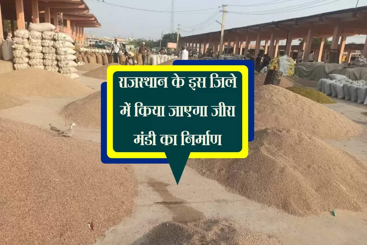 राजस्थान के इस जिले में किया जाएगा जीरा मंडी का निर्माण, जिले वासियों को नहीं जाना पड़ेगा गुजरात