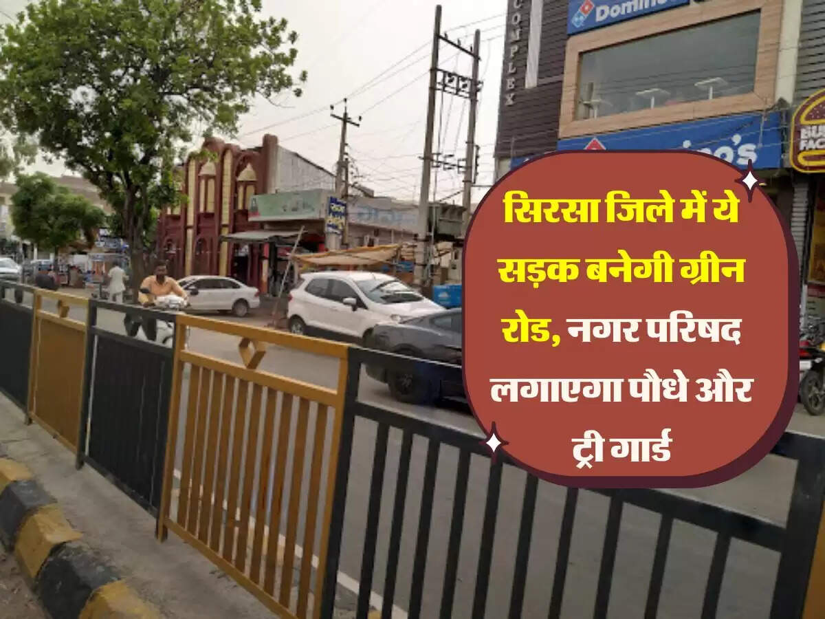 सिरसा जिले में ये सड़क बनेगी ग्रीन रोड, नगर परिषद लगाएगा पौधे और ट्री गार्ड