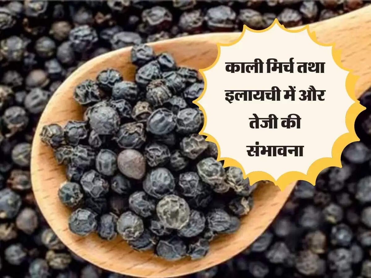 काली मिर्च तथा इलायची में और तेजी की संभावना