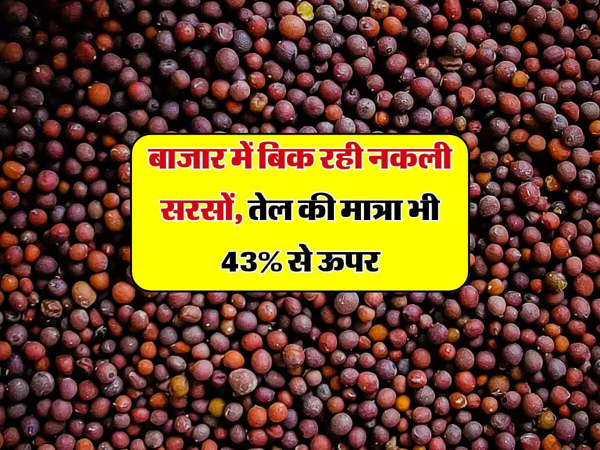 बाजार में बिक रही नकली सरसों, तेल की मात्रा भी 43% से ऊपर