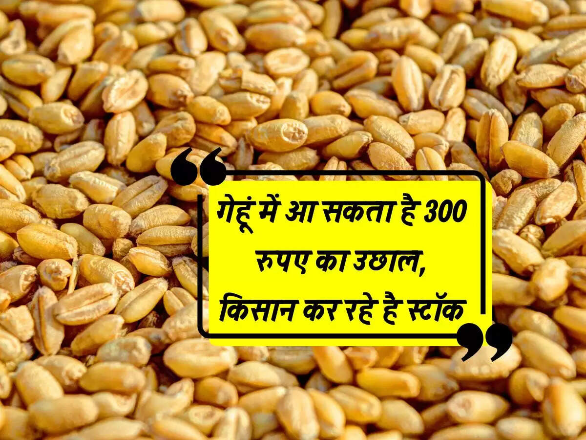 Wheat Prices