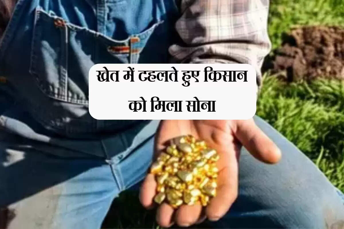 Gold in the field: खेत में टहलते हुए किसान को मिला सोना, चेक किया तो दिखा बड़ा भंडार