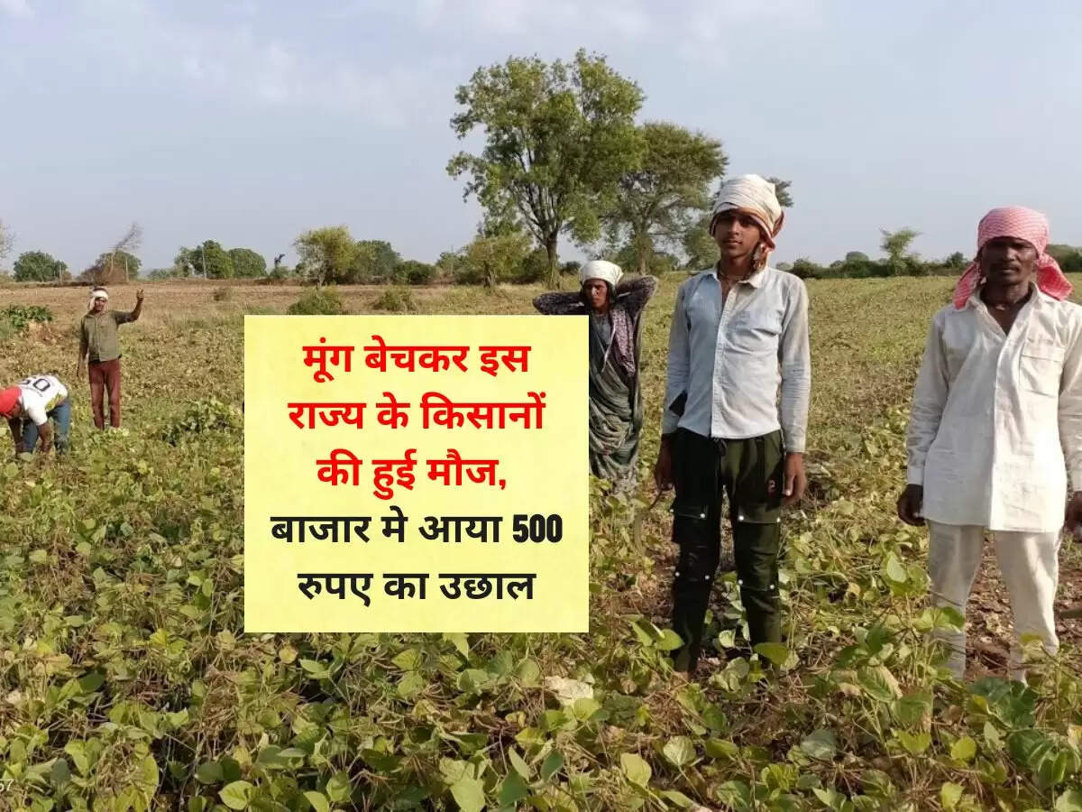 मूंग बेचकर इस राज्य के किसानों की हुई मौज, बाजार मे आया 500 रुपए का उछाल
