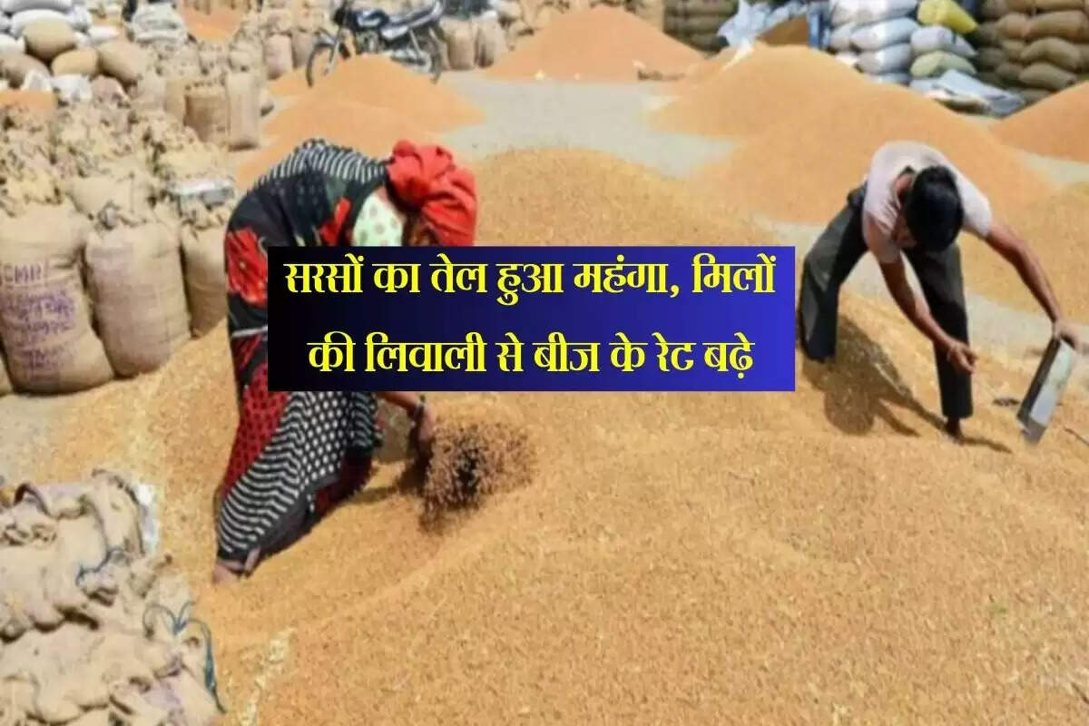 Jaipur Mandi Bhav: सरसों का तेल हुआ महंगा, मिलों की लिवाली से बीज के रेट बढ़े