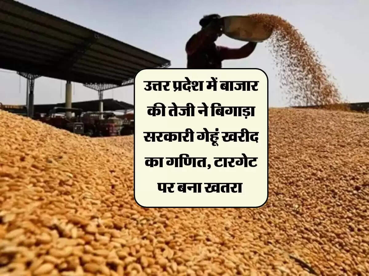 उत्तर प्रदेश में बाजार की तेजी ने बिगाड़ा सरकारी गेहूं खरीद का गणित, टारगेट पर बना खतरा