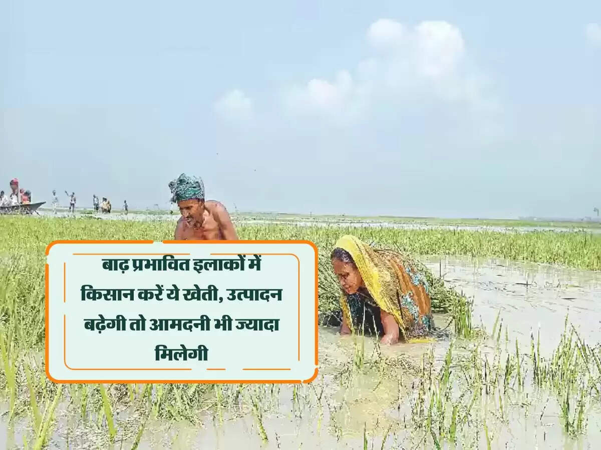 बाढ़ प्रभावित इलाकों में किसान करें ये खेती, उत्पादन बढ़ेगी तो आमदनी भी ज्यादा मिलेगी