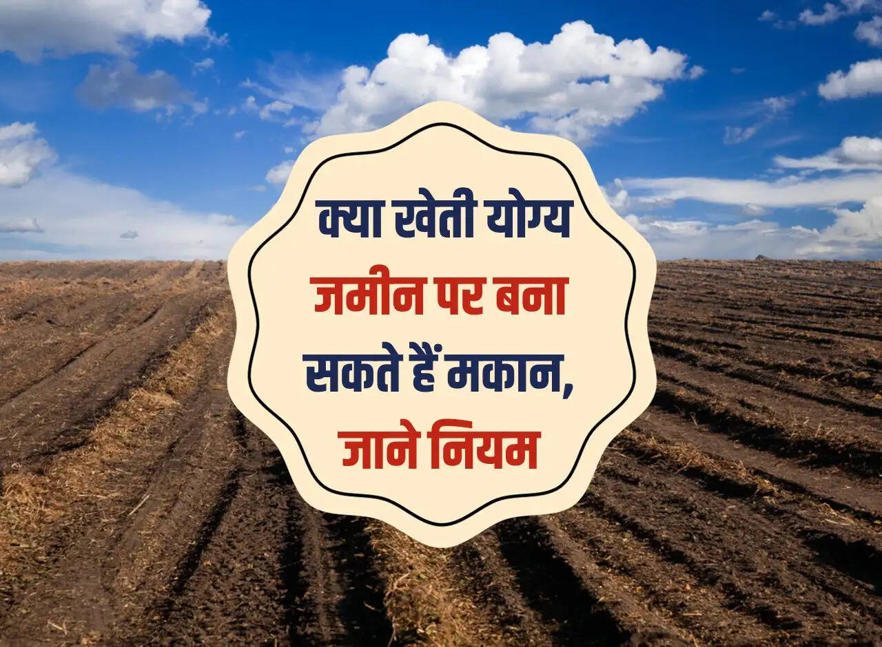 Agricultural Land to Residential: Can houses be built on cultivable land, know the rules