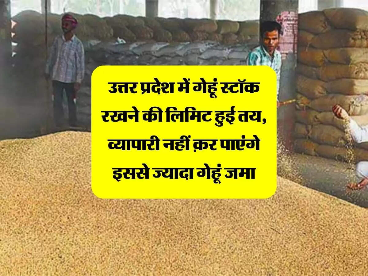 उत्तर प्रदेश में गेहूं स्टॉक रखने की लिमिट हुई तय, व्यापारी नहीं क़र पाएंगे इससे ज्यादा गेहूं जमा