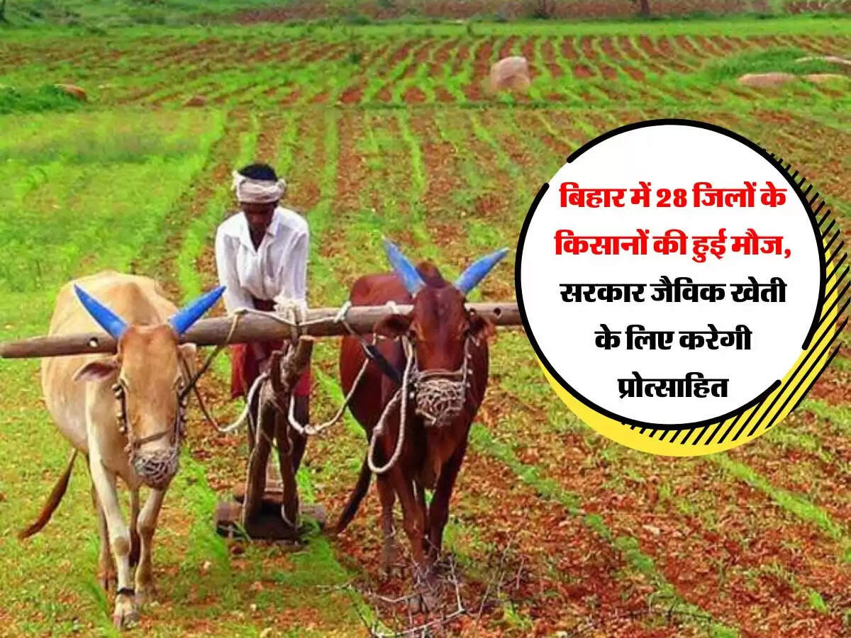 बिहार में 28 जिलों के किसानों की हुई मौज, सरकार जैविक खेती के लिए करेगी प्रोत्साहित