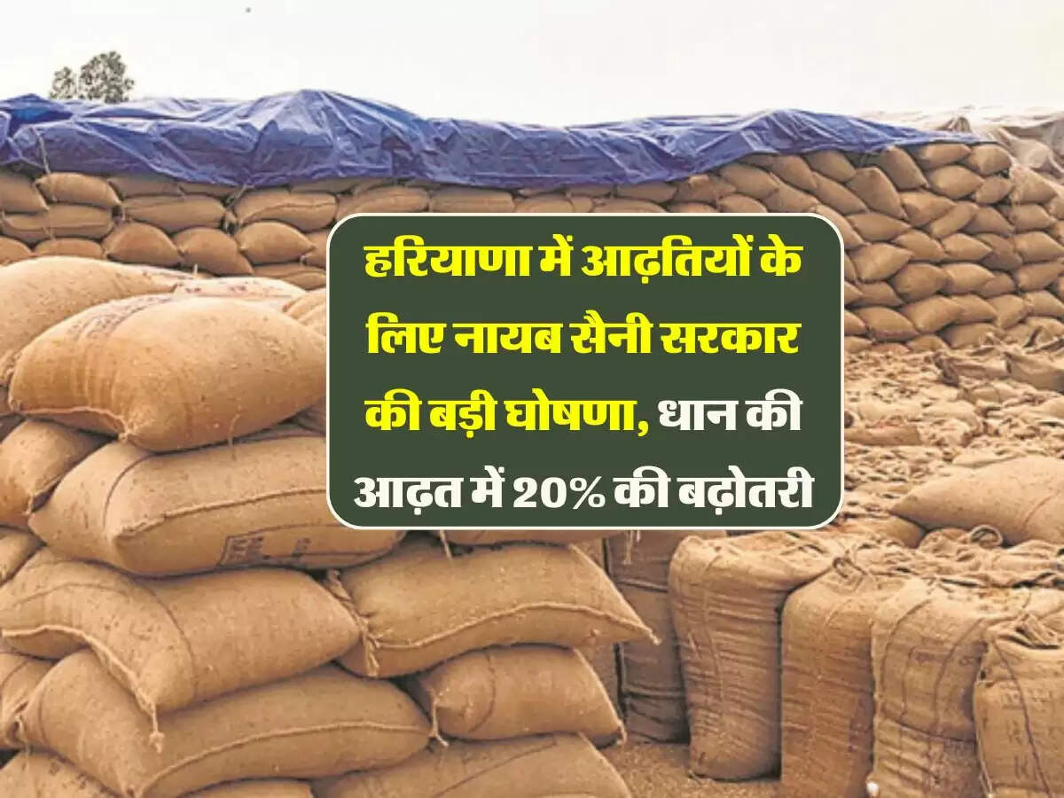 हरियाणा में आढ़तियों के लिए नायब सैनी सरकार की बड़ी घोषणा, धान की आढ़त में 20% की बढ़ोतरी
