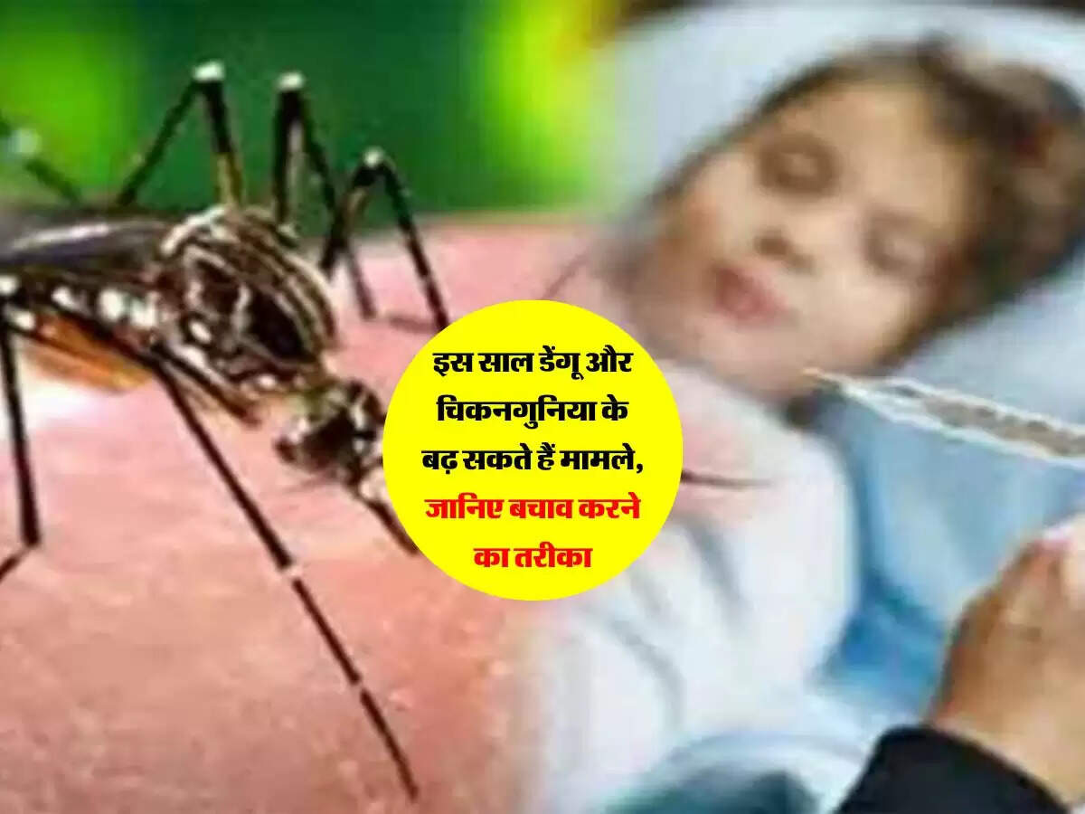 इस साल डेंगू और चिकनगुनिया के बढ़ सकते हैं मामले, जानिए बचाव करने का तरीका