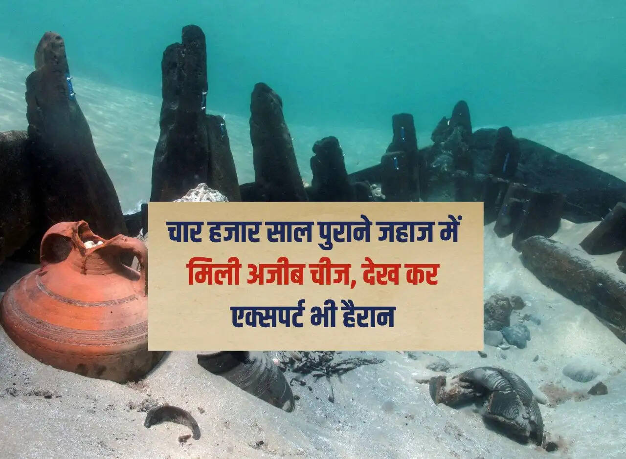Strange thing found in a four thousand year old ship, even experts are surprised to see it