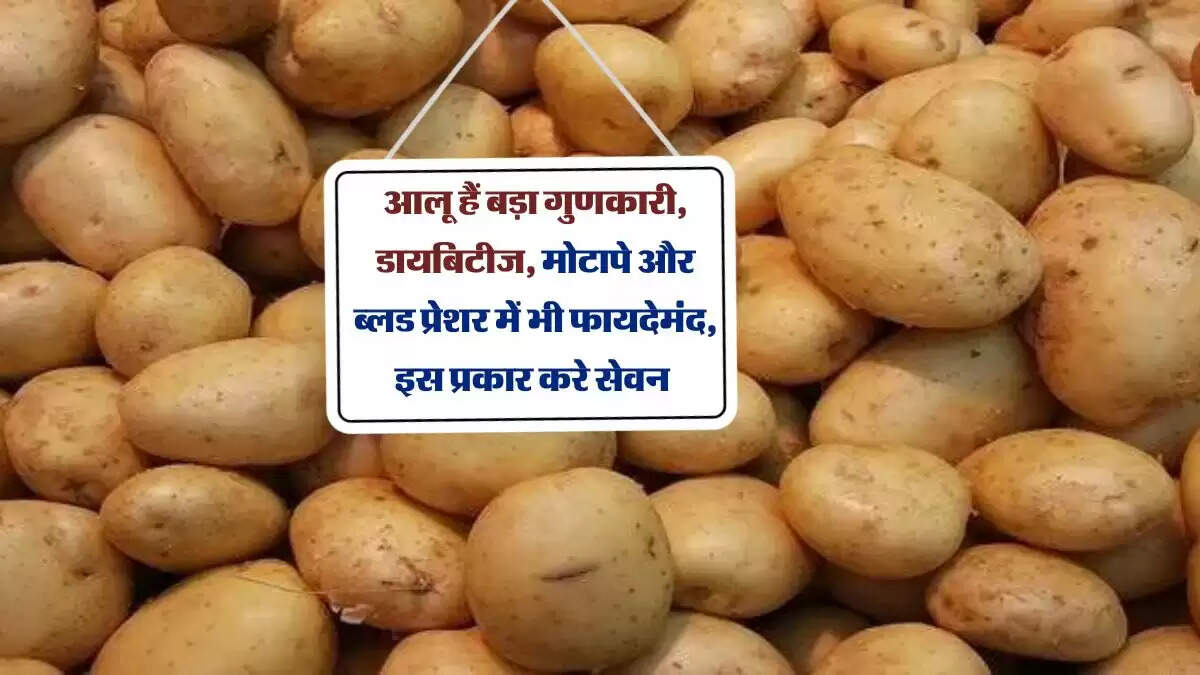 आलू हैं बड़ा गुणकारी, डायबिटीज,मोटापे और ब्लड प्रेशर में भी फायदेमंद, इस प्रकार करे सेवन