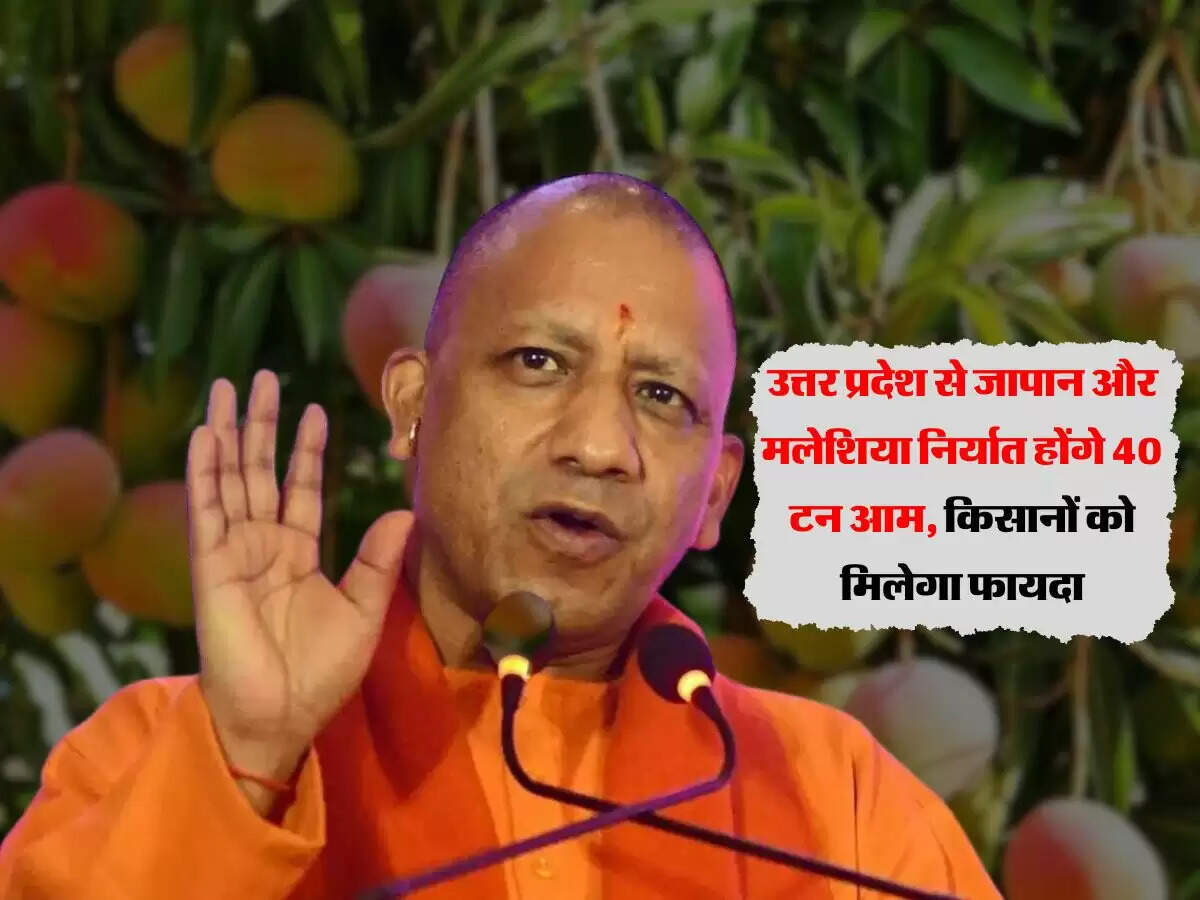 उत्तर प्रदेश से जापान और मलेशिया निर्यात होंगे 40 टन आम, किसानों को मिलेगा फायदा
