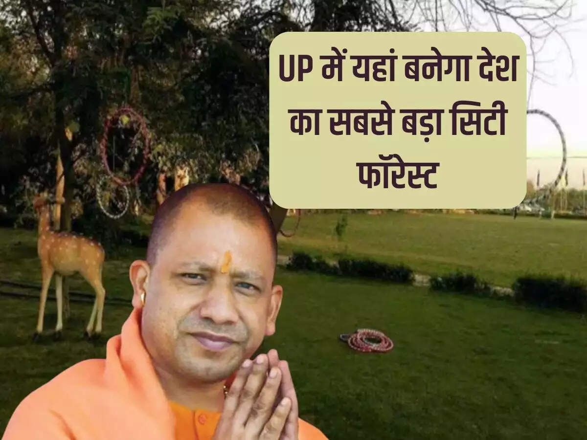 उत्तर प्रदेश में यहां बनेगा देश का सबसे बड़ा सिटी फॉरेस्ट, 130 हेक्टेयर  भूमि पर किया जाएगा विकसित