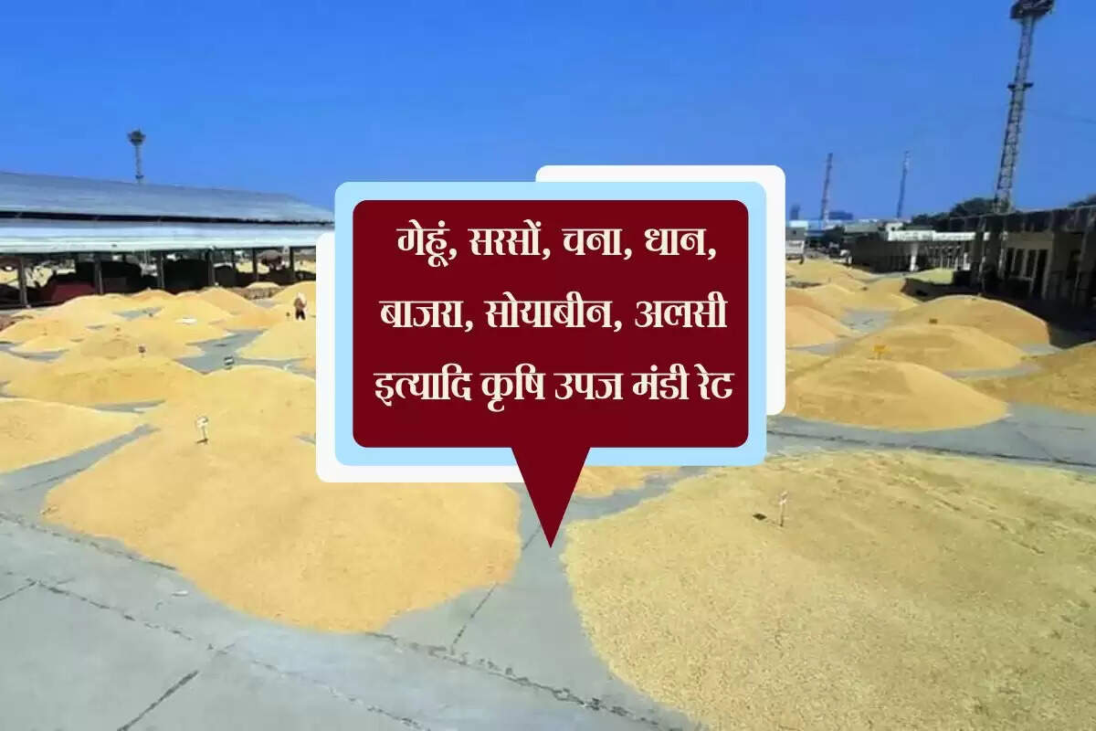 Kota Mandi Bhav: गेहूं, सरसों, चना, धान, बाजरा, सोयाबीन, अलसी इत्यादि कृषि उपज मंडी रेट