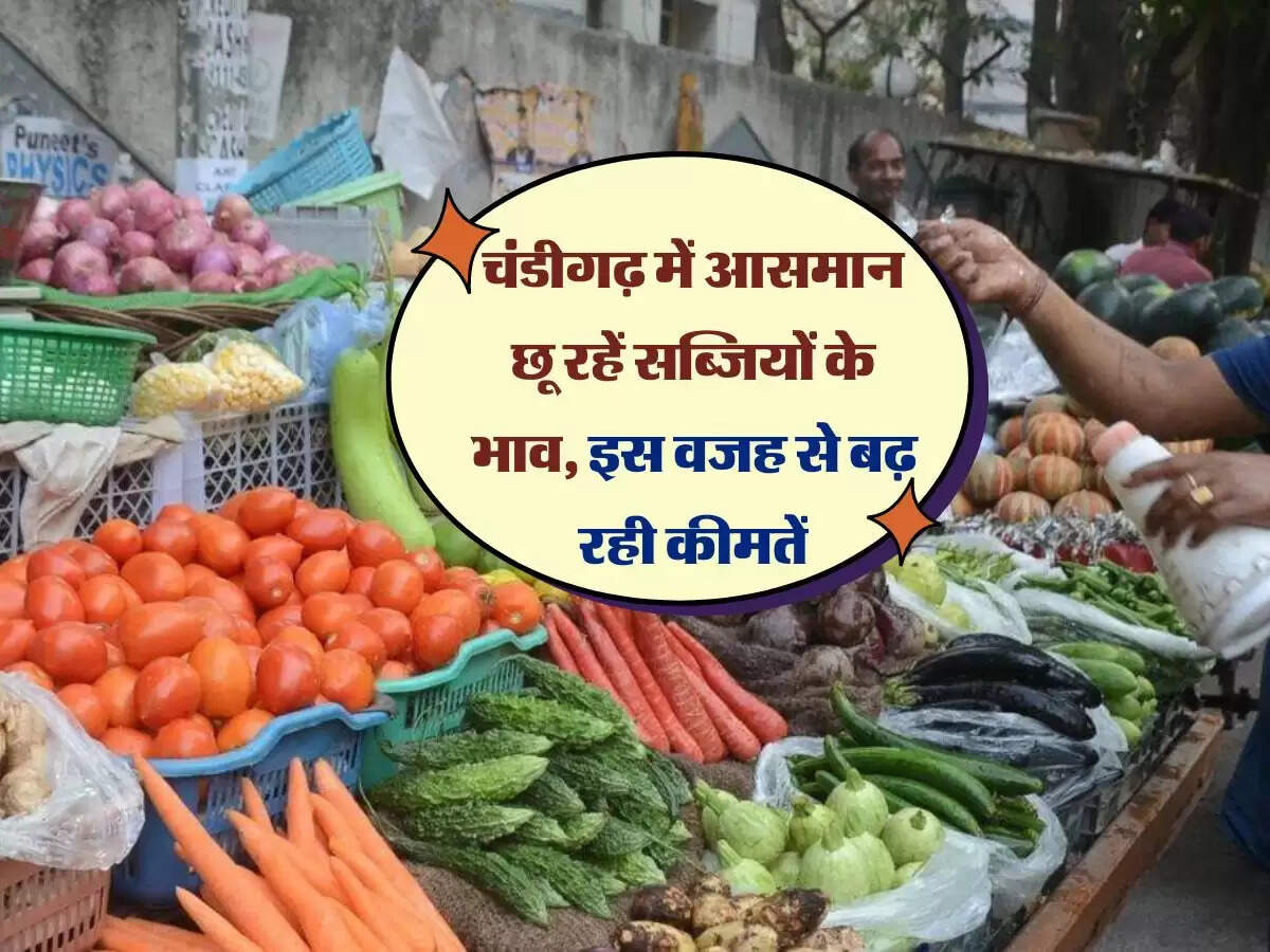 चंडीगढ़ में आसमान छू रहें सब्जियों के भाव, इस वजह से बढ़ रही कीमतें
