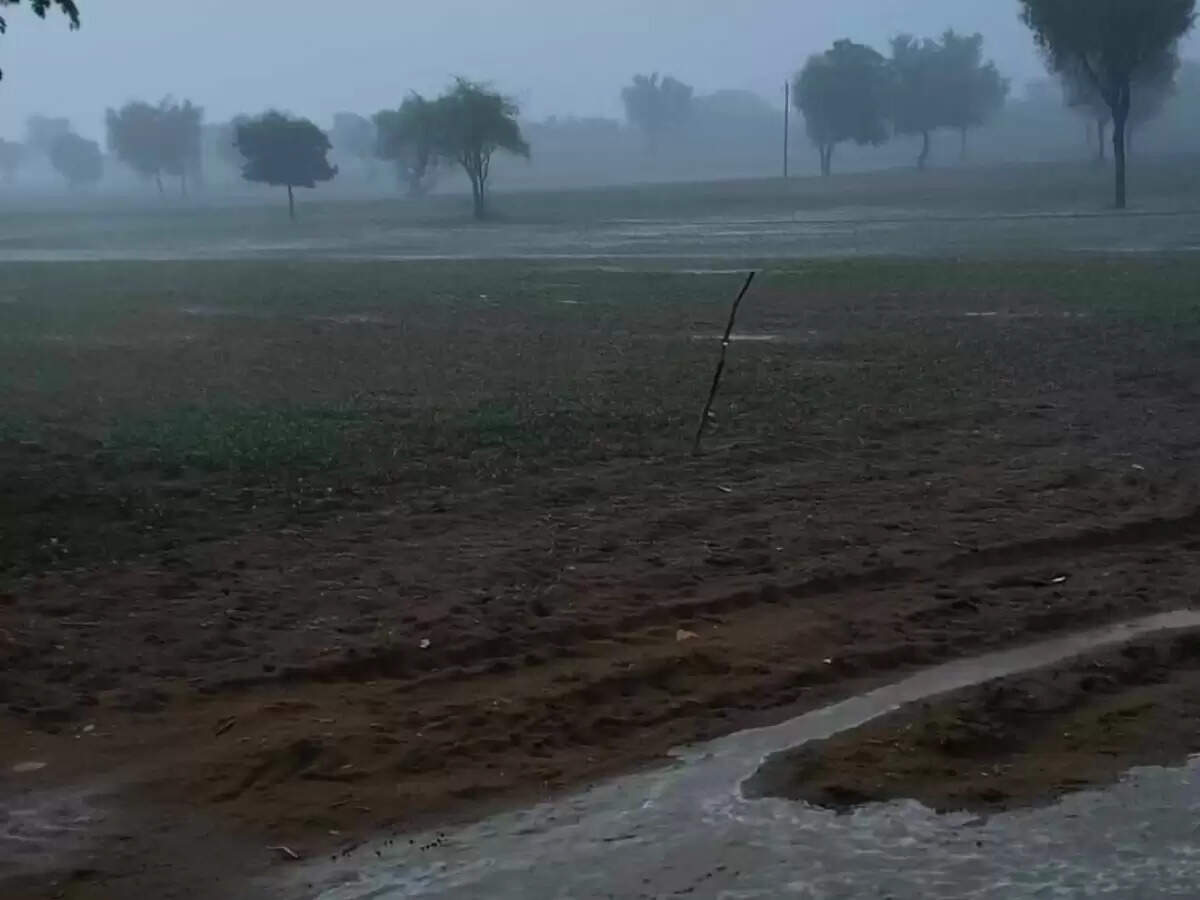 जयपुर में 5 दिनों बाद बरसे बादल, बढ़ गई उमस, जैसलमेर में रिमझिम बरसात