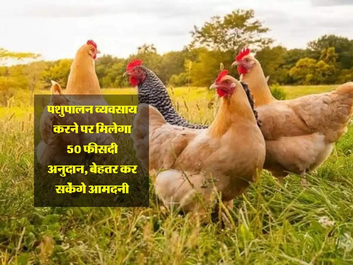 पशुपालन व्यवसाय करने पर मिलेगा 50 फीसदी अनुदान, बेहतर कर सकेंगे आमदनी