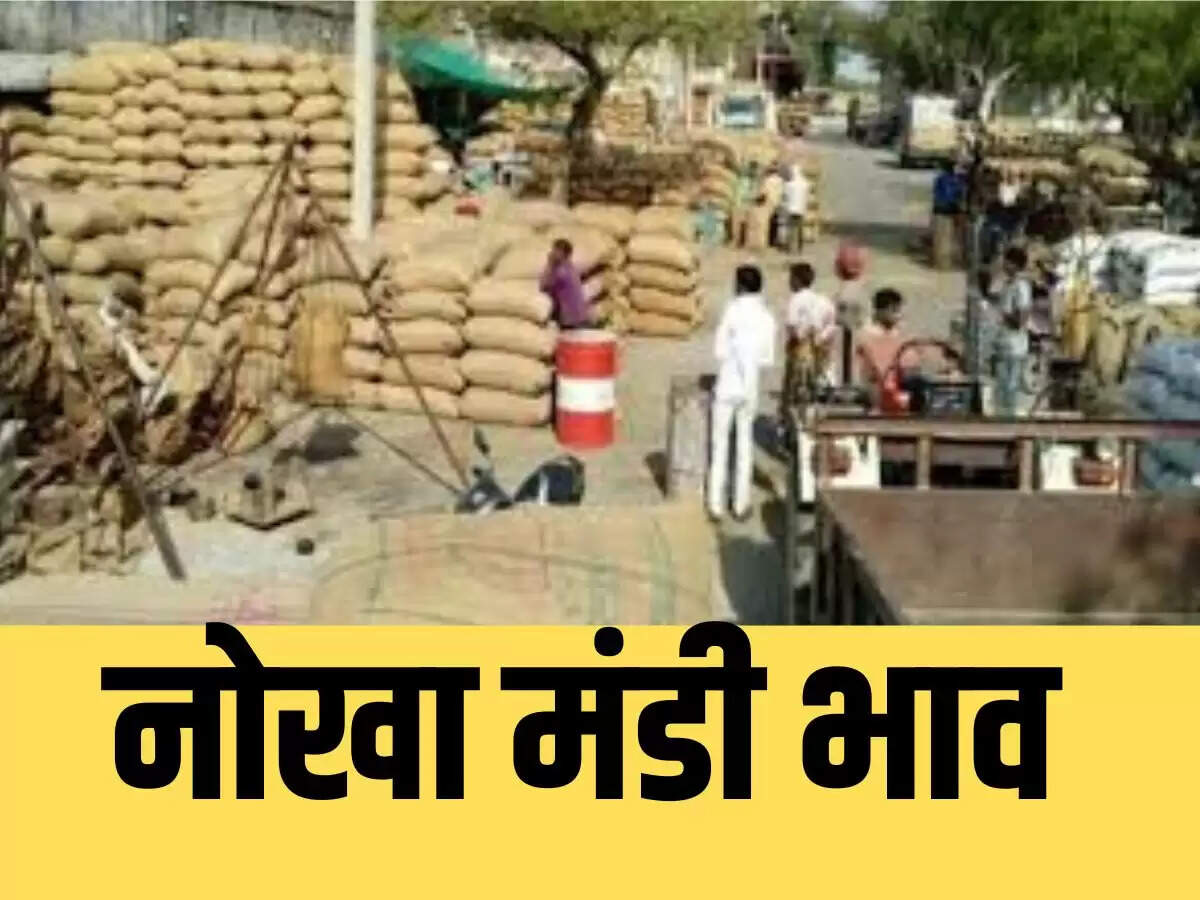 नोखा मंडी भाव